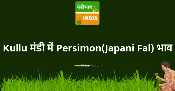 Persimon(Japani Fal) भाव